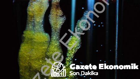 Bilinç yükselmesi: Ruhsal ve fiziksel potansiyel artışı