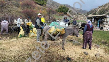 Şuhut’ta kestane sezonu bereketli başladı