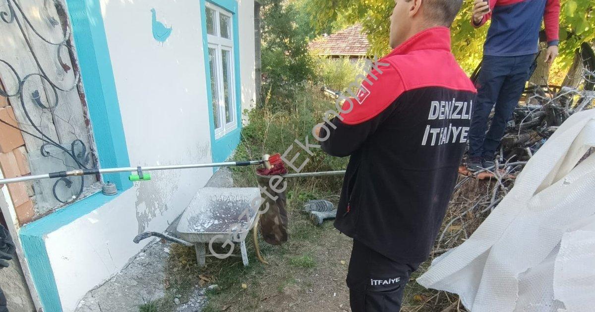 DENİZLİ’NİN ÇAMELİ İLÇESİNDE BİR EVİN İÇİNDE BULUNAN YILAN KORKUYA NEDEN OLURKEN 2 METRE BOYUNDAKİ YILAN ÇAĞRILAN İTFAİYE TARAFINDAN ALINARAK DOĞAYA BIRAKILDI.
