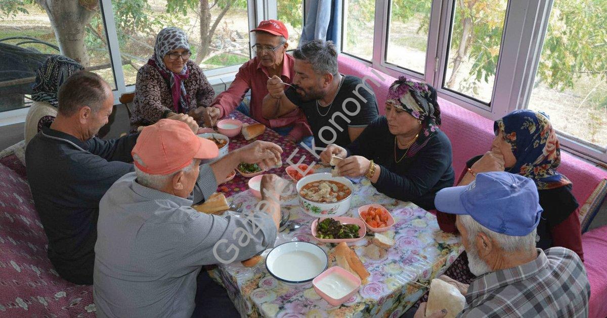 MANİSA'NIN DEMİRCİ İLÇESİNDE YILDA 13 BİN 400 DEKAR ALANDA YAKLAŞIK 500 TON ÜRETİMİ GERÇEKLEŞEN CEVİZDE HASADA BAŞLANDI.