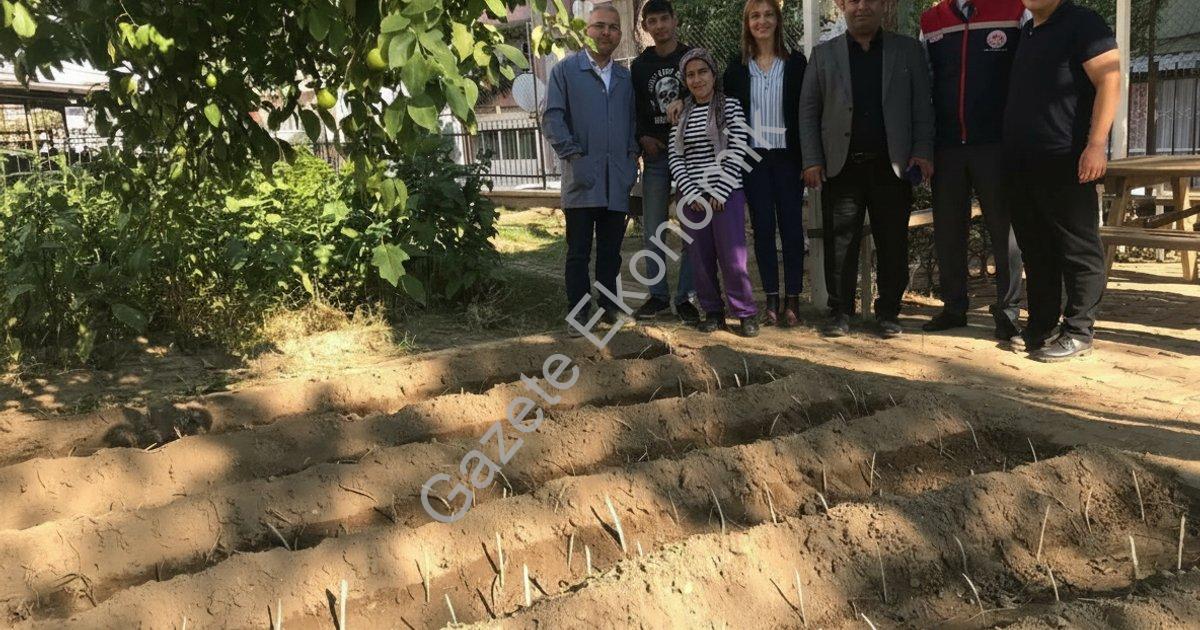 ÖZEL ÖĞRENCİLER FİDELERİ TOPRAKLA BULUŞTURDU