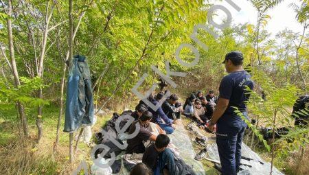 İzmir açıklarında 66 kaçak göçmen yakalandı, 29 kişi kurtarıldı