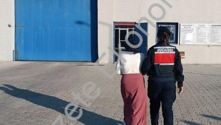 Afyonkarahisar’da jandarma 37 arananı yakaladı: 18 tutuklandı