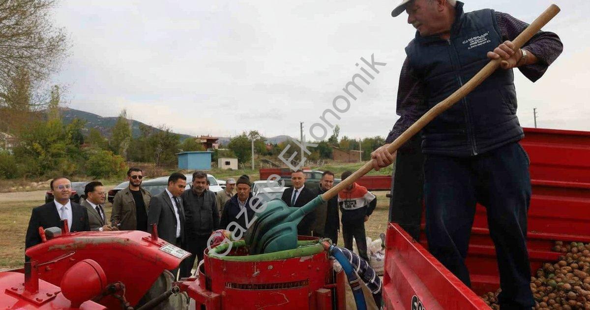 AFYONKARAHİSAR'IN DİNAR İLÇESİNDE CEVİZ HASADI BAŞLARKEN, REKOLTENİN BU YIL ÇİFTÇİLERİ MEMNUN ETTİĞİ BELİRTİLDİ.