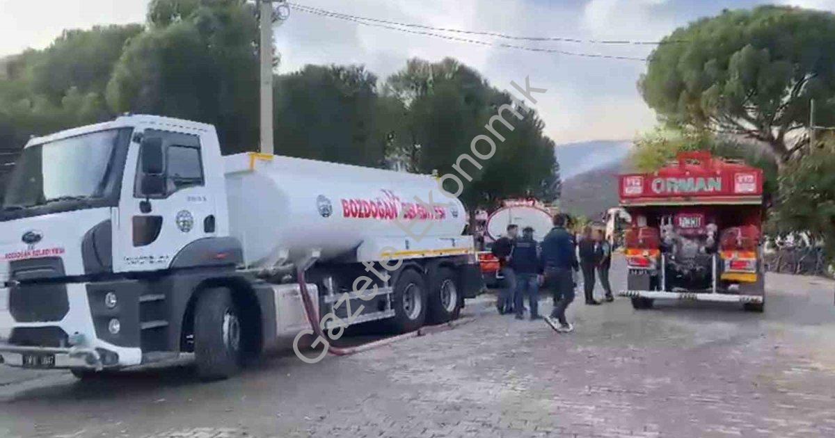 "Aydın Bozdoğan'da Korkutan Yangın: Alevler Ormana Sıçradı" başlıklı haber için fotorealistik, profe