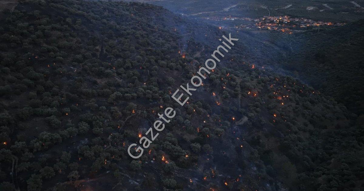 "Aydın Bozdoğan'da Orman Yangını: Alevler Kontrol Altına Alındı" başlıklı haber için fotorealistik,