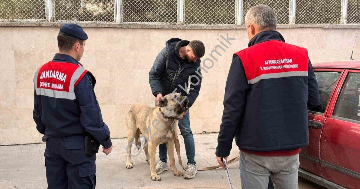 "Afyonkarahisar'da Vahşete Dronlu Takip: Köpek Dövüştüren 12 Kişi Yakalandı" başlıklı haber için fot