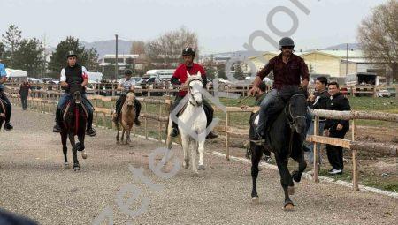 Tavşanlı’da Rahvan Atları Şöleni: Kıyasıya Rekabet Nefes Kesti