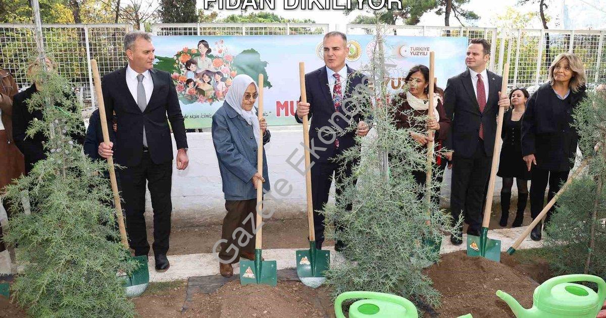 "Muğla'da Öğretmenler İçin 16 Bin 453 Fidan Dikiliyor" başlıklı haber için fotorealistik, profesyone