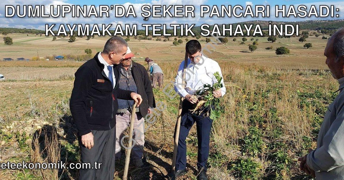 "Dumlupınar’da Şeker Pancarı Hasadı: Kaymakam Teltik Sahaya İndi" başlıklı haber için fotorealistik,
