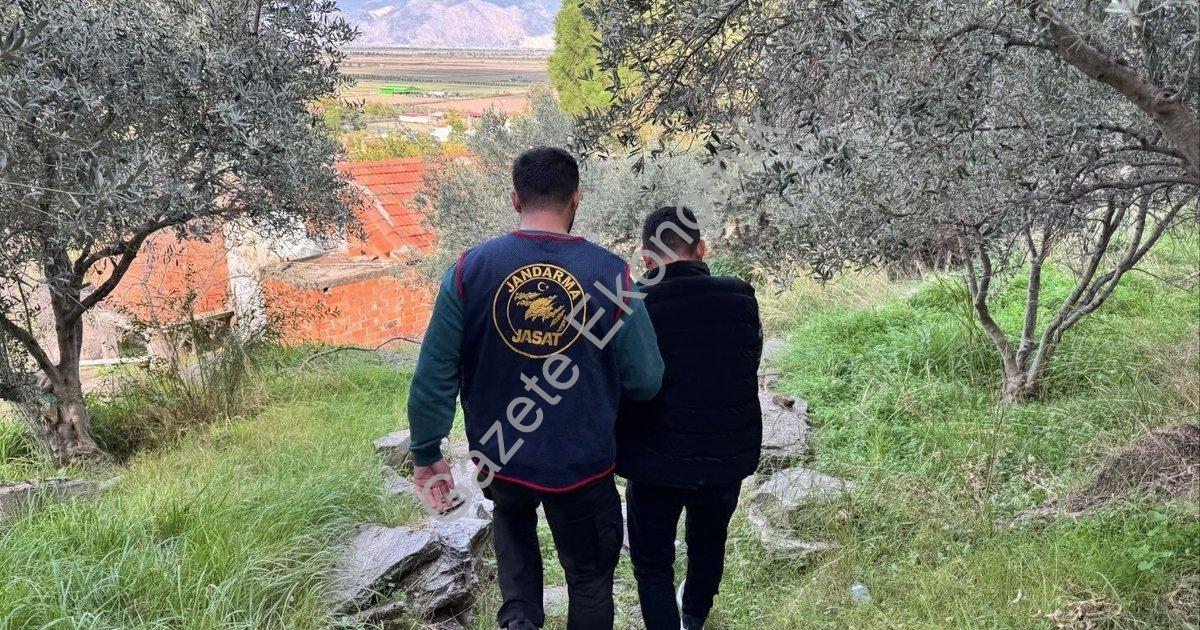 "Söke'de Nefes Kesen Operasyon: Cinayet Teşebbüsü Şüphelisi Ormanda Yakalandı" başlıklı haber için f