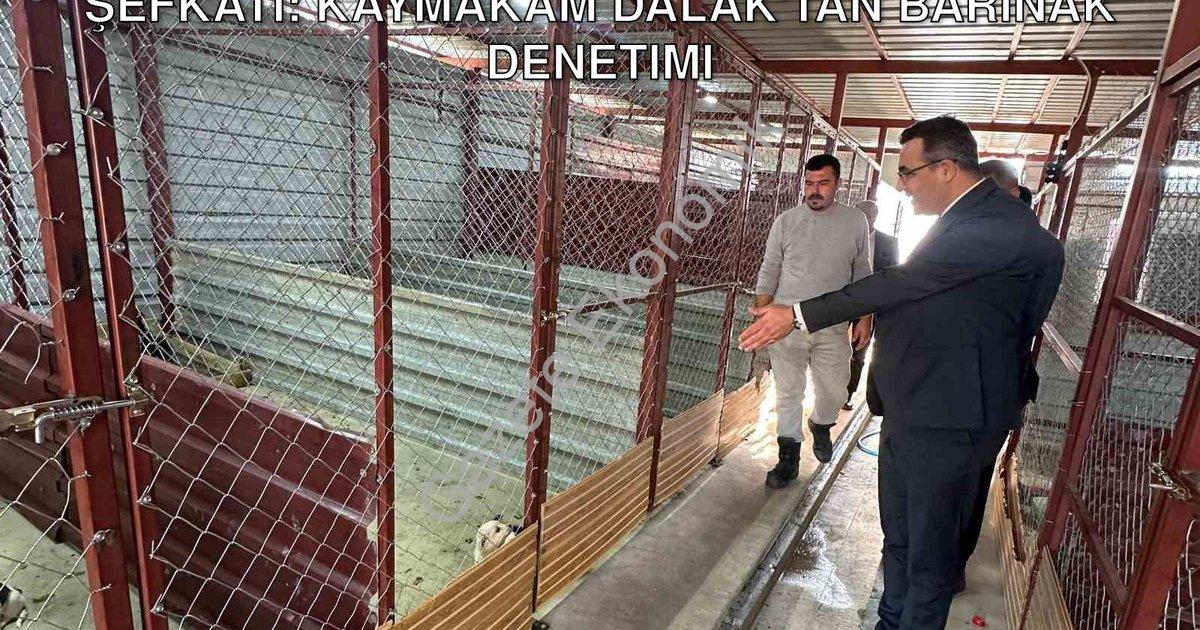 "Sarıgöl'de Sokak Canlarına Devlet Şefkati: Kaymakam Dalak'tan Barınak Denetimi" başlıklı haber için