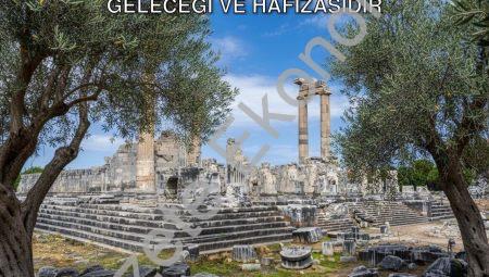 Hatice Gençay: Zeytin Ağacı Didim’in Geleceği ve Hafızasıdır