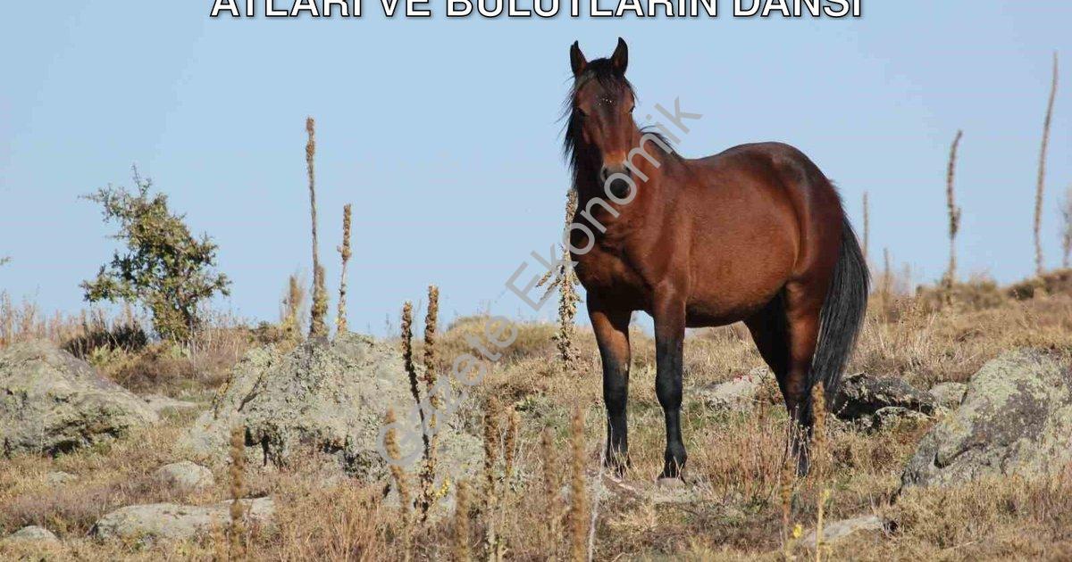 "Afyonkarahisar'da Doğa Şöleni: Yılkı Atları ve Bulutların Dansı" başlıklı haber için fotorealistik,