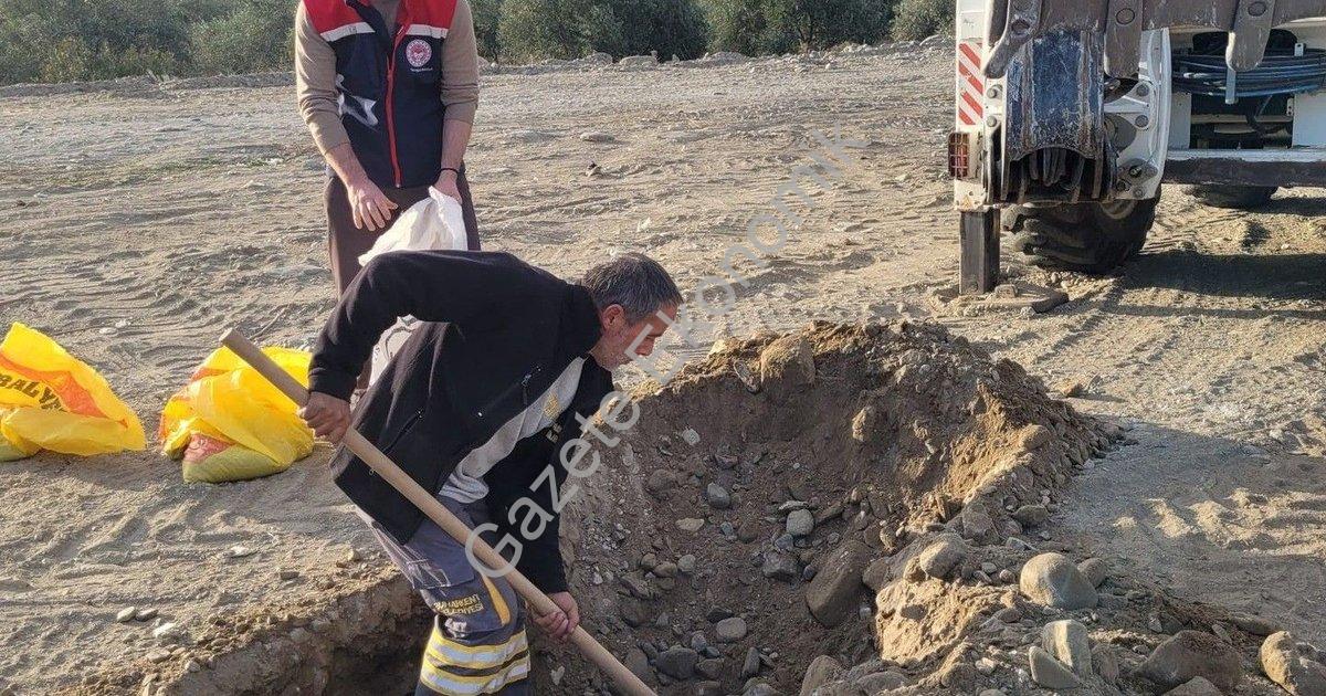 "Buharkent 2. Etap İlek Bahçesi Projesi İçin Toprak Analizleri Başladı" başlıklı haber için fotoreal