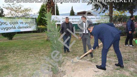 Denizli Milli Eğitim’den Çevre Seferberliği: Yeşeren Eller Hareketi