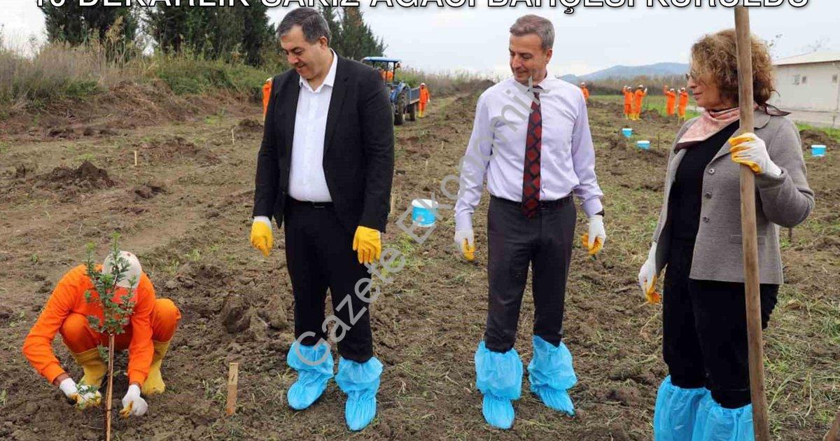 "Dalaman'da Mahkumlar Üretime Katılıyor: 10 Dekarlık Sakız Ağacı Bahçesi Kuruldu" başlıklı haber içi