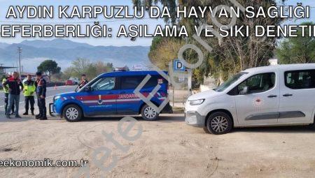 Aydın Karpuzlu’da Hayvan Sağlığı Seferberliği: Aşılama ve Sıkı Denetim