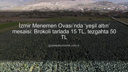 İzmir Menemen Ovası’nda ‘yeşil altın’ mesaisi: Brokoli tarlada 15 TL, tezgahta 50 TL