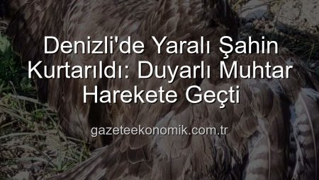 Denizli’de Yaralı Şahin Kurtarıldı: Duyarlı Muhtar Harekete Geçti