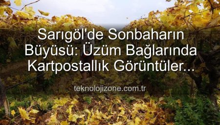 Sarıgöl’de Sonbahar Büyüsü: Üzüm Bağlarında Kartpostallık Manzaralar Eşliğinde Budama Çalışmaları Başladı