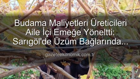 Budama Maliyetleri Üreticileri Aile İçi Emeğe Yöneltti: Sarıgöl’de Üzüm Bağlarında Yeni Dönem