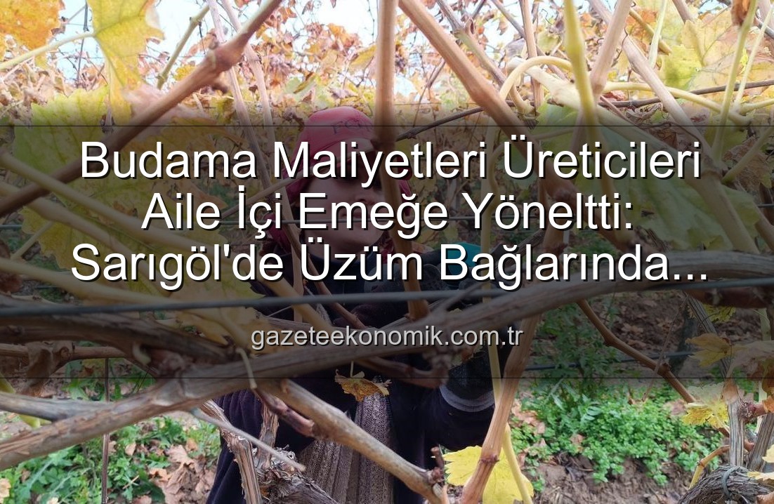 budama maliyeti - Budama Maliyetleri Üreticileri Aile İçi Emeğe Yöneltti: Sarıgöl'de Üzüm Bağlarında Yeni Dönem