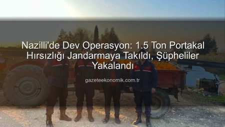 Nazilli’de Dev Operasyon: 1.5 Ton Portakal Hırsızlığı Jandarmaya Takıldı, Şüpheliler Yakalandı
