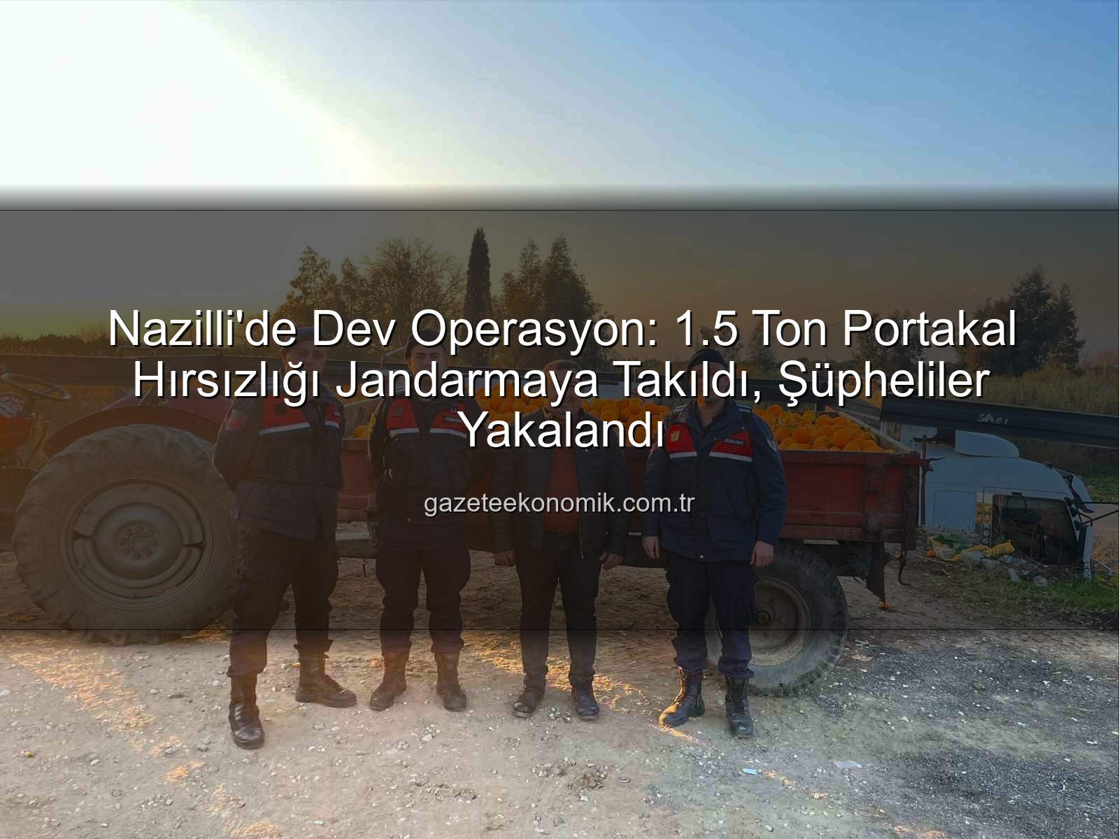 portakal hırsızlığı - Nazilli'de Dev Operasyon: 1.5 Ton Portakal Hırsızlığı Jandarmaya Takıldı, Şüpheliler Yakalandı