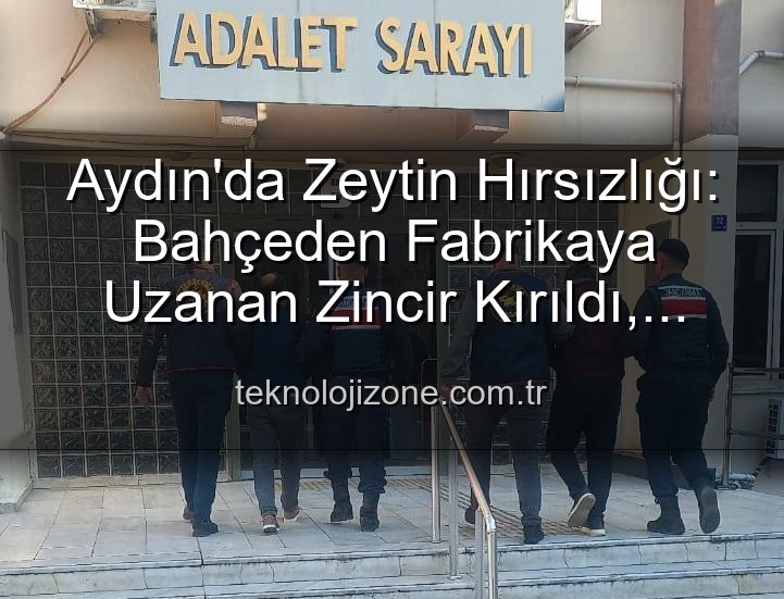 zeytin hırsızlığı - Aydın'da Zeytin Hırsızlığı: Bahçeden Fabrikaya Uzanan Zincir Kırıldı, 2 Şüpheli Yakalandı