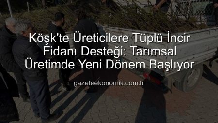 Köşk’te Üreticilere Tüplü İncir Fidanı Desteği: Tarımsal Üretimde Yeni Dönem Başlıyor
