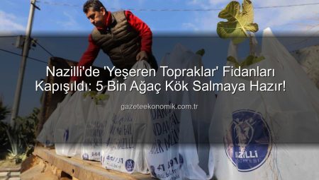 Nazilli’de ‘Yeşeren Topraklar’ Fidanları Kapışıldı: 5 Bin Ağaç Kök Salmaya Hazır!