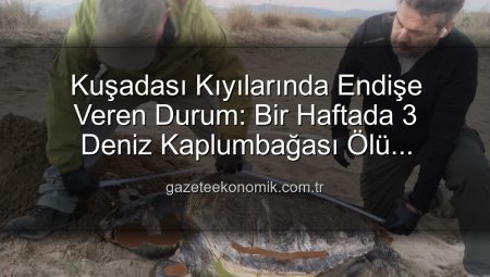 Kuşadası Kıyılarında Endişe Veren Durum: Bir Haftada 3 Deniz Kaplumbağası Ölü Bulundu!