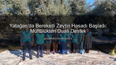 Yatağan’da Bereketli Zeytin Hasadı Başladı: Müftülükten Dualı Destek