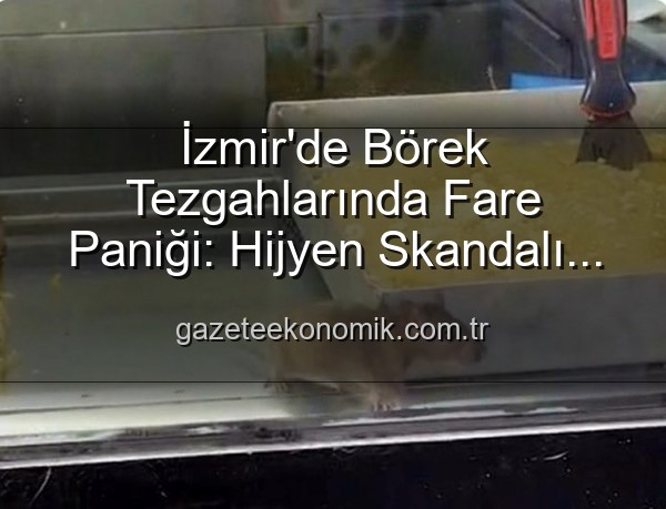 börek tezgahlarında fare - İzmir'de Börek Tezgahlarında Fare Paniği: Hijyen Skandalı Mühürlendi