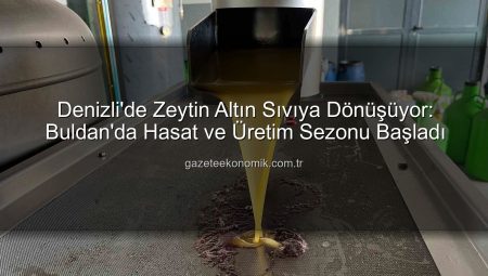 Denizli’de Zeytin Altın Sıvıya Dönüşüyor: Buldan’da Hasat ve Üretim Sezonu Başladı