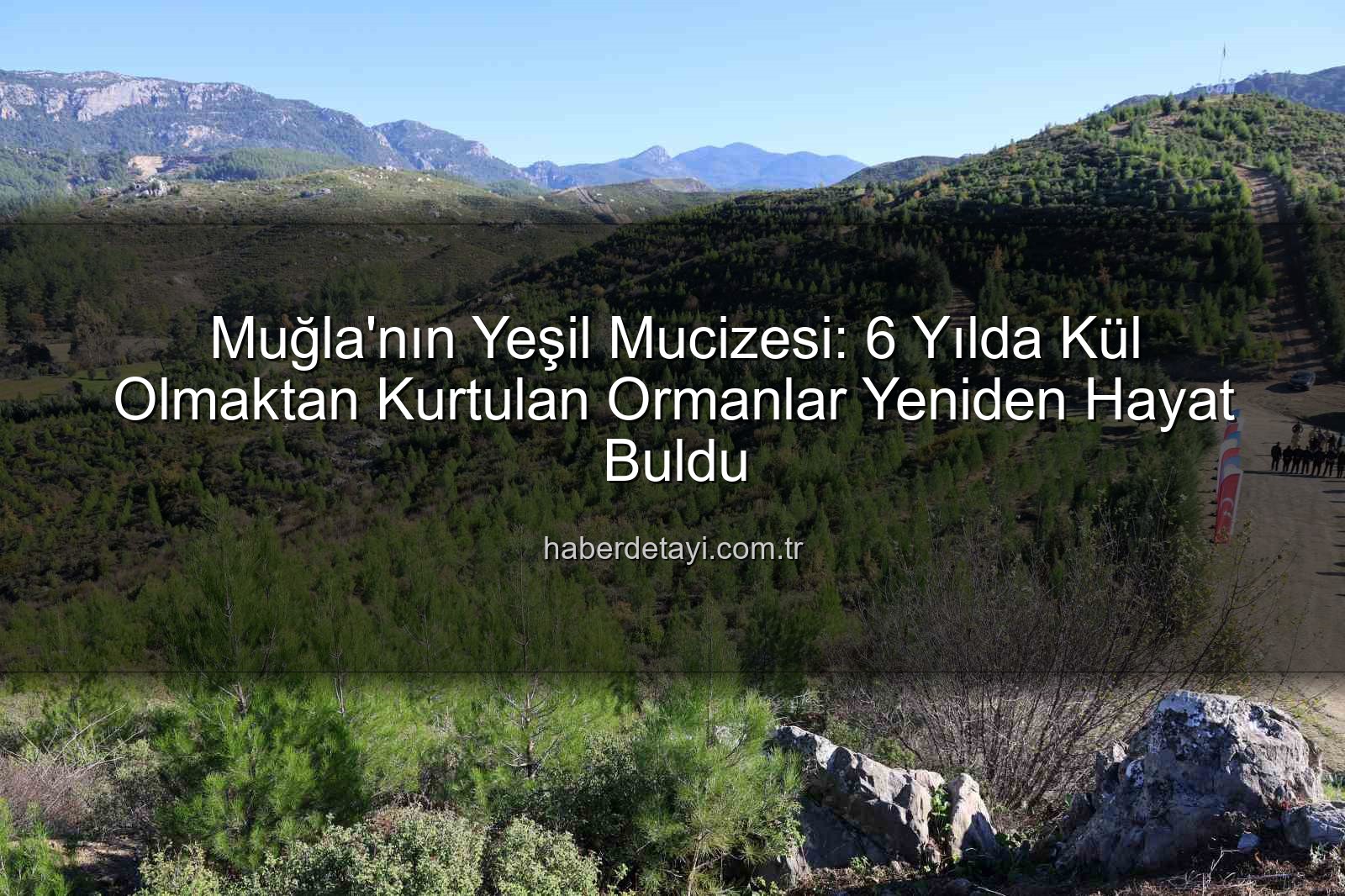 yanan ormanlar yeniden ağaçlandırma - Muğla'da Kül Olan Ormanlar 6 Yılda Yeniden Yeşerdi: 450 Bin Fidanın Mucizesi