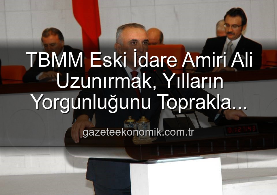 Ali Uzunırmak tarım - TBMM Eski İdare Amiri Ali Uzunırmak, Yılların Yorgunluğunu Toprakla Atıyor: İncir Bahçelerinde Yeni Bir Dönem