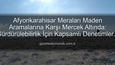Afyonkarahisar Meraları Maden Aramalarına Karşı Mercek Altında: Sürdürülebilirlik İçin Kapsamlı Denetimler Başladı